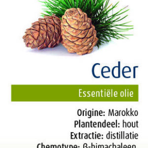Physalis Ceder bio