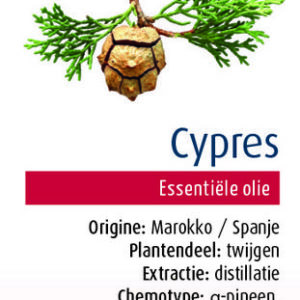 Physalis Cypres bio