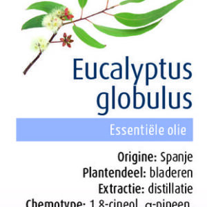 Physalis Eucalyptus globulus bio