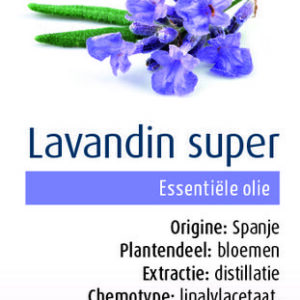 Physalis Lavendin bio
