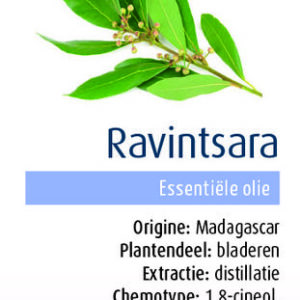 Physalis Ravintsara bio