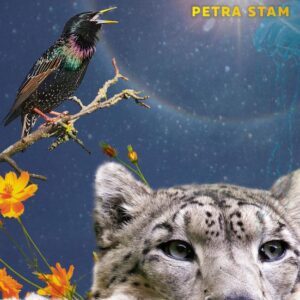 A3 boeken Krachtdieren 2 kaartenset