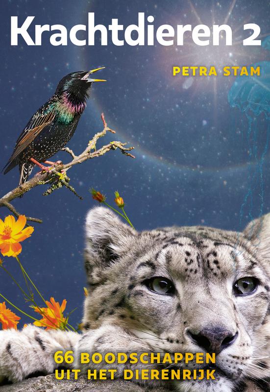 A3 boeken Krachtdieren 2 kaartenset
