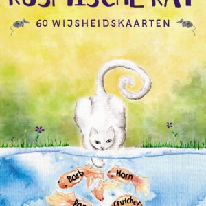 A3 boeken Kosmische kat - 60 wijsheidskaarten