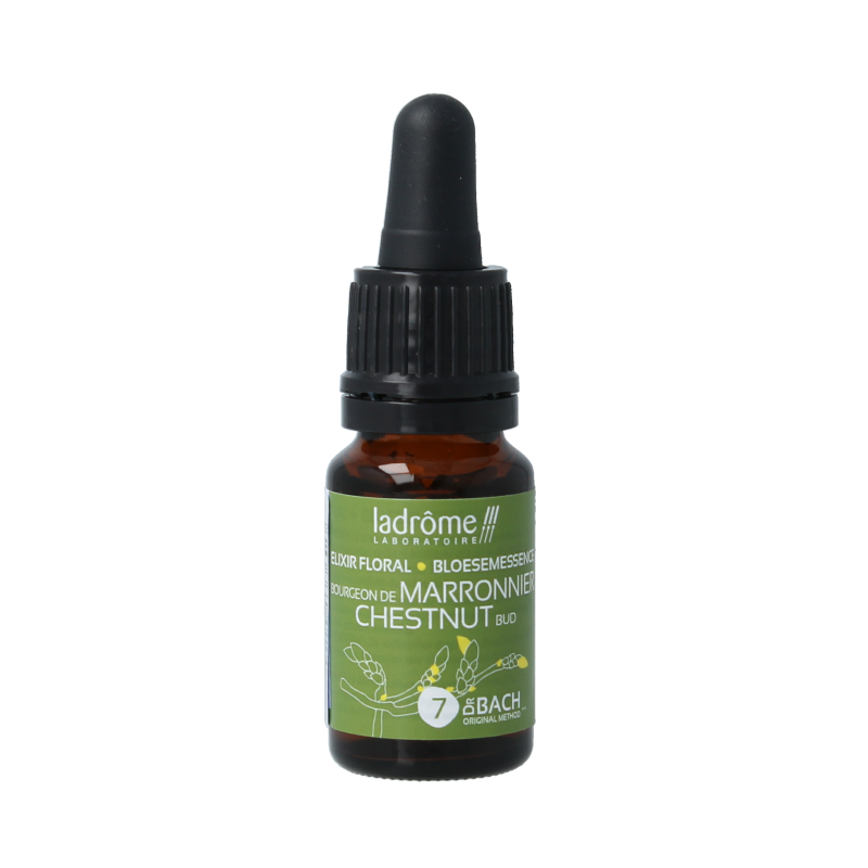 Ladrome Chestnut bud bio