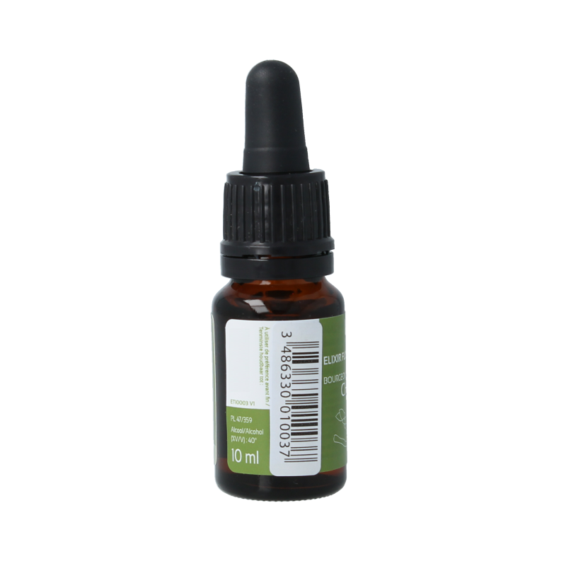 Ladrome Chestnut bud bio - Afbeelding 2