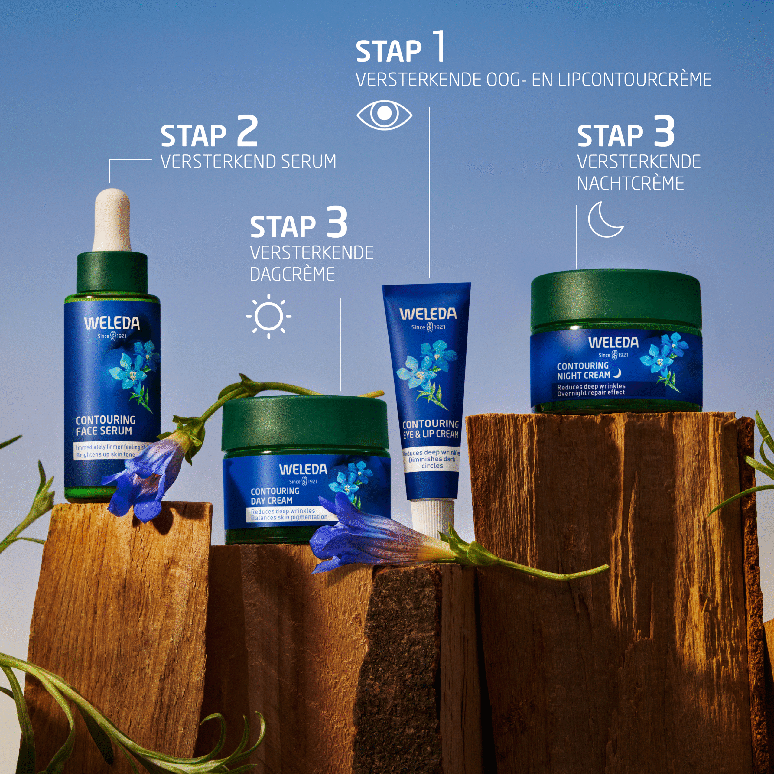 Weleda Blauwe gentiaan & edelweiss versterkende dagcreme - Afbeelding 3