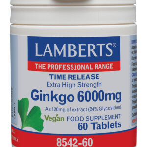 Lamberts Ginkgo 6000mg