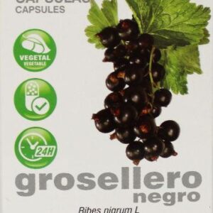 Soria Natural 23-S Ribes nigrum XXI