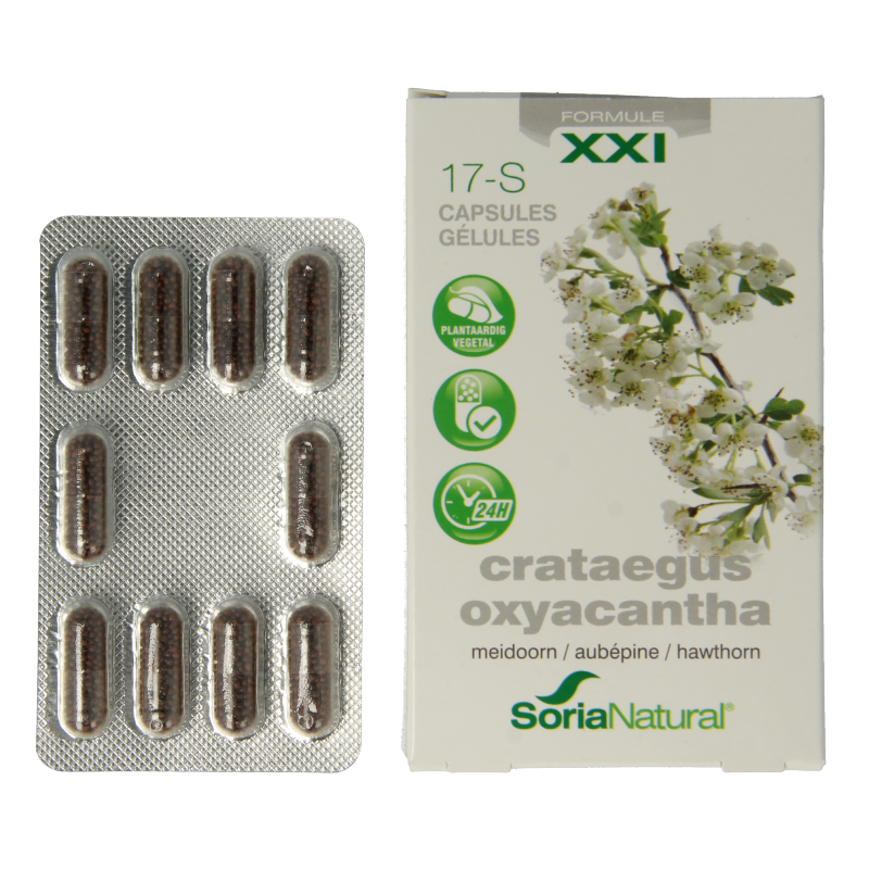 Soria Natural Crateagus oxyacantha 17-S - Afbeelding 2