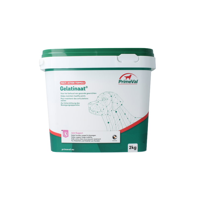 Primeval Gelatinaat hond