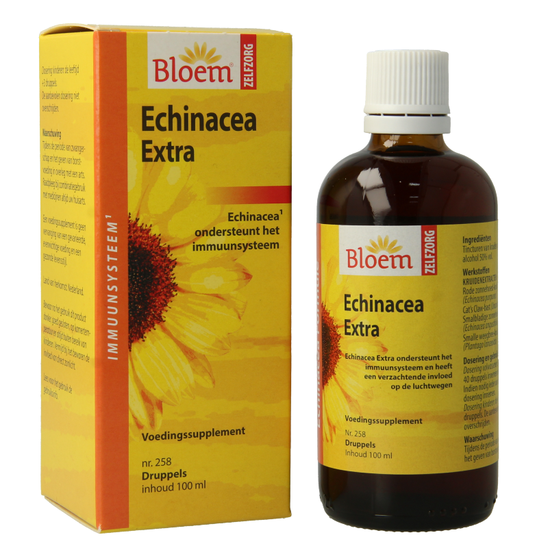 Bloem Echinacea - Afbeelding 2