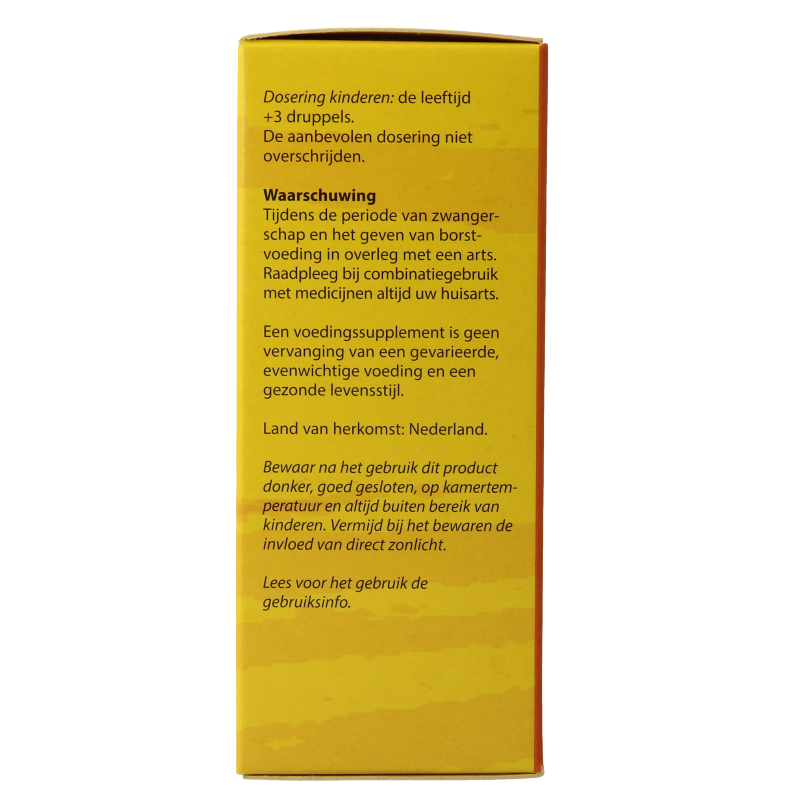 Bloem Echinacea - Afbeelding 3