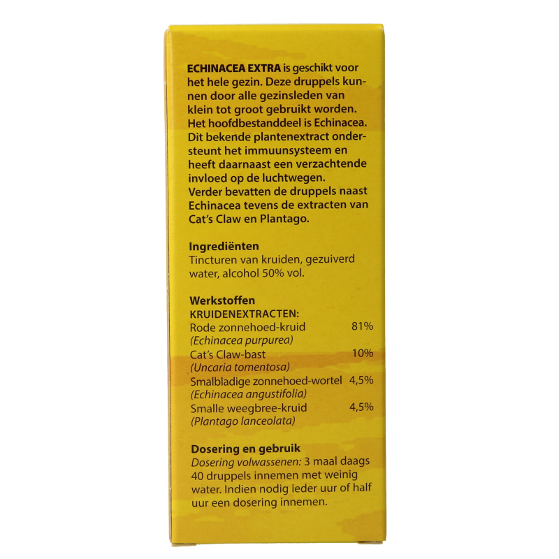 Bloem Echinacea - Afbeelding 4