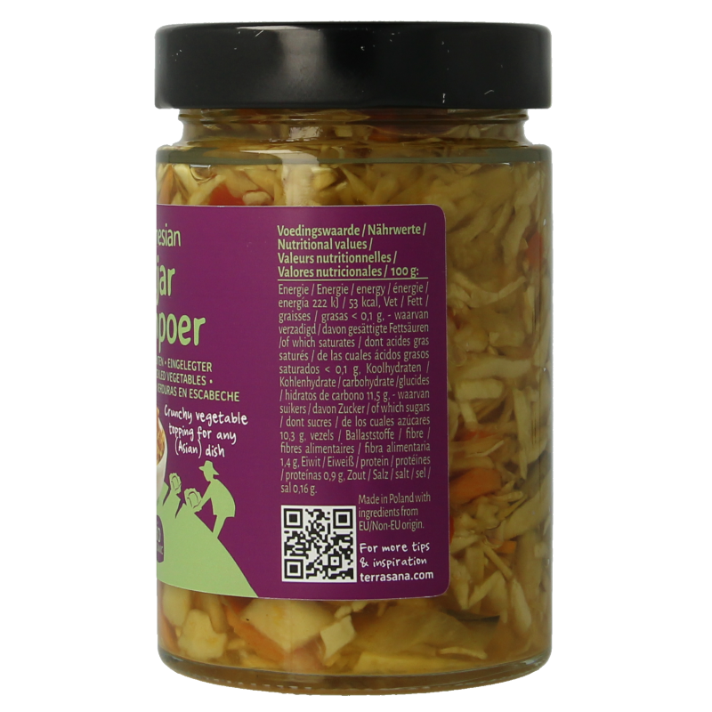 TerraSana Indonesische atjar tjampoer bio - Afbeelding 3