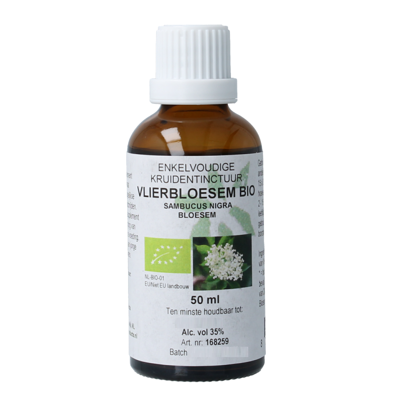 Cruydhof Sambucus nigra / gewone vlier bio