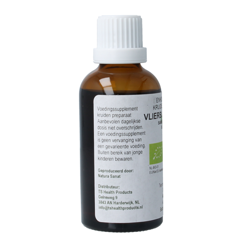 Cruydhof Sambucus nigra / gewone vlier bio - Afbeelding 2