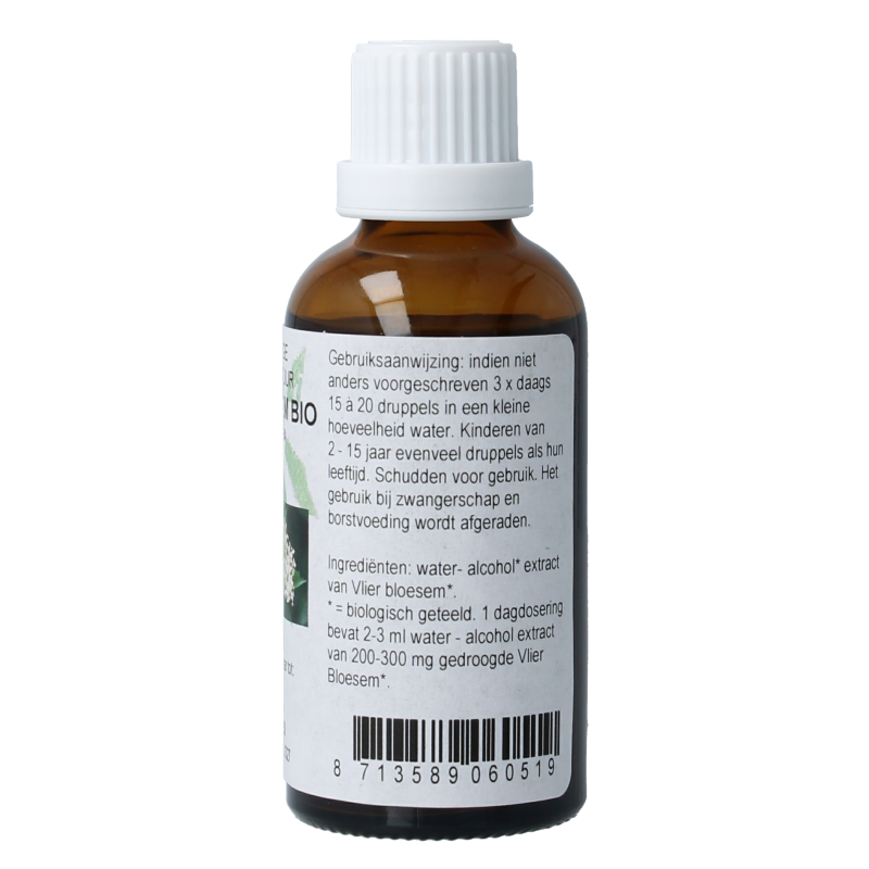 Cruydhof Sambucus nigra / gewone vlier bio - Afbeelding 3