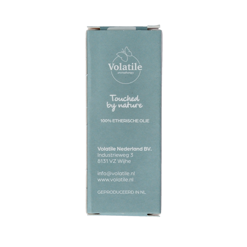 Volatile Zonnetje - Afbeelding 4