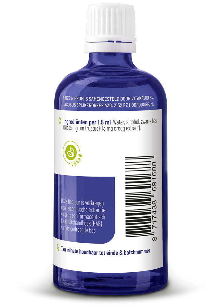 Vitakruid Ribes Nigrum Zwarte bes tinctuur 1:10 - Afbeelding 3