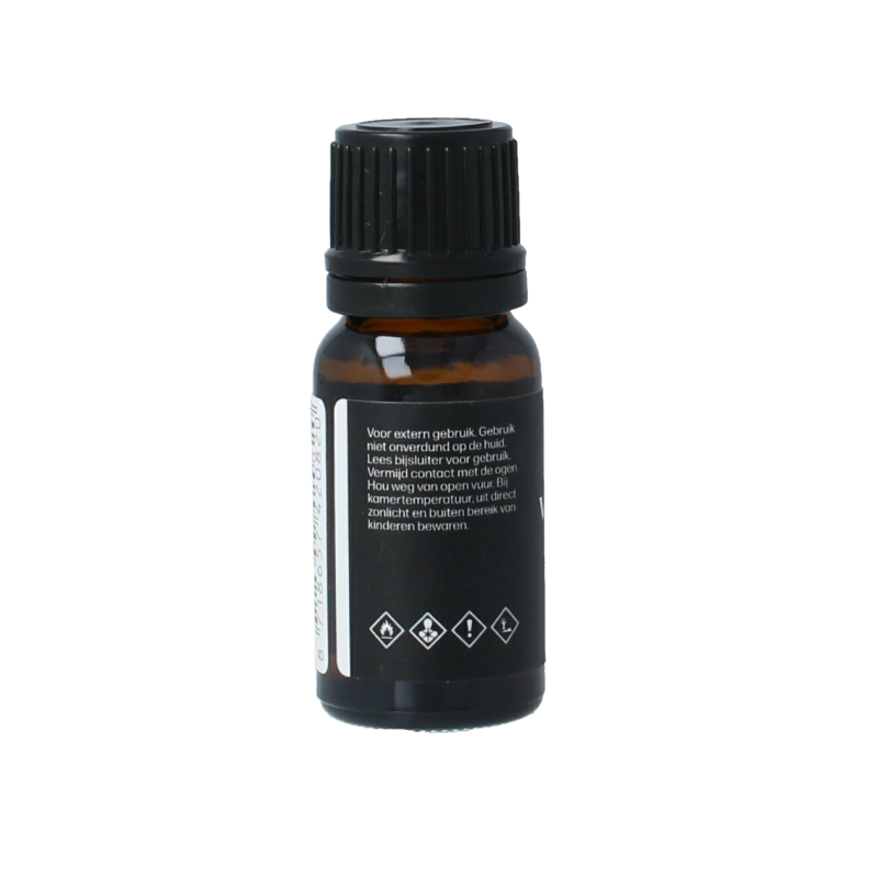 Van Toen Rozemarijn bio - Afbeelding 2