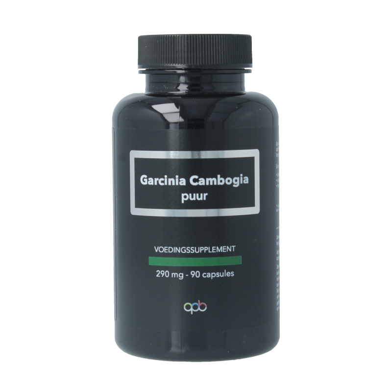 APB Holland Garcinia cambogia puur 290mg