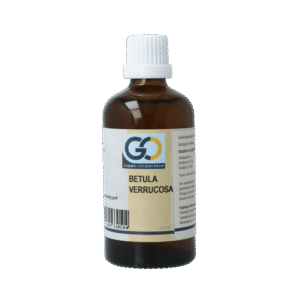 GO Betula verrucosa bio