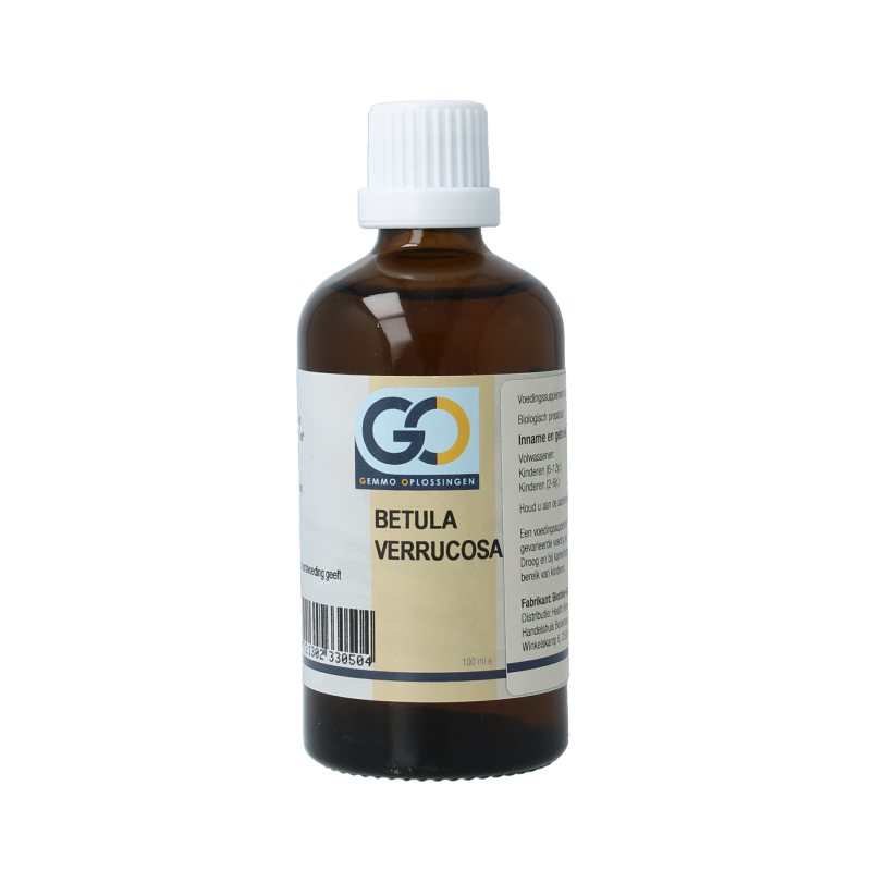 GO Betula verrucosa bio