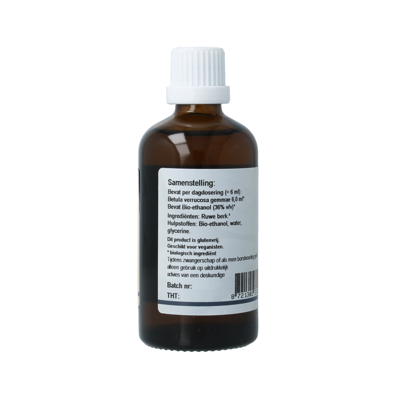 GO Betula verrucosa bio - Afbeelding 2