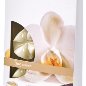 Bolsius True Scents waxmelts vanilla