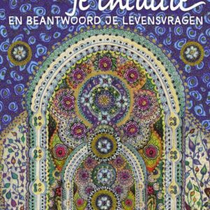 A3 boeken Ontwikkel je intuitie