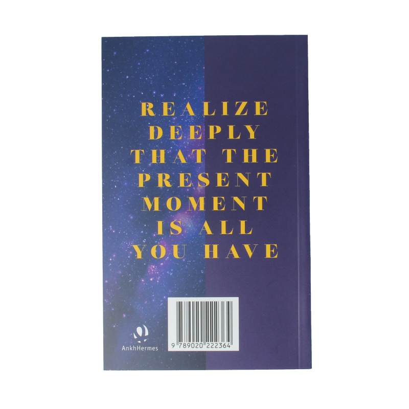 Ankh Hermes De kracht van het nu in de praktijk - Afbeelding 2